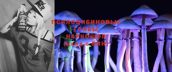 шишки Тайга