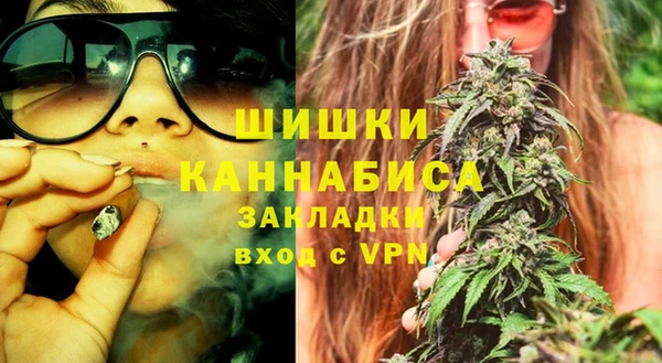молекула духа Струнино