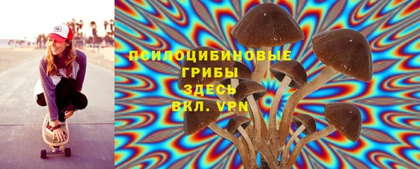 соль ск Абаза