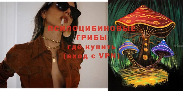 прущие крисы Строитель
