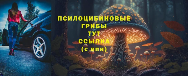 соль ск Абаза