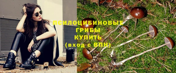 прущие крисы Абинск