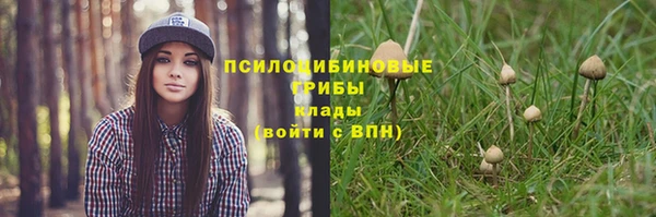 прущие крисы Абинск