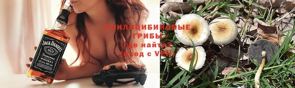 соль ск Абаза